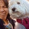 Chinh N.